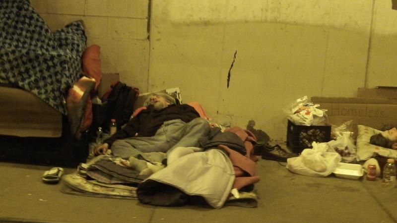 CHICAGO'S Homeless Population