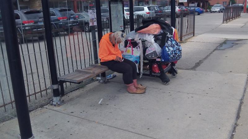 Homeless Lady on Harlem Avenue in Elmwood Park, IL. 